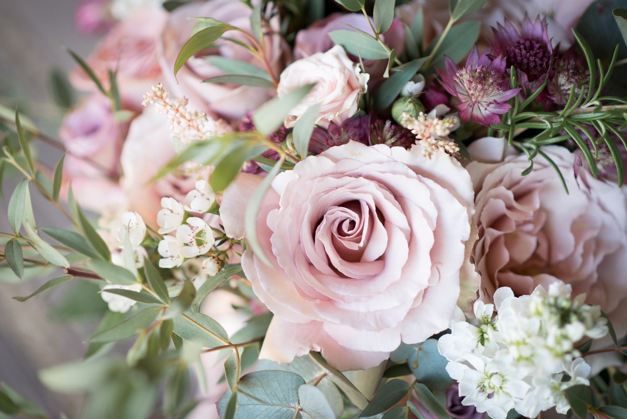 10 Questions for Jemma at The Flower Shed Oxford