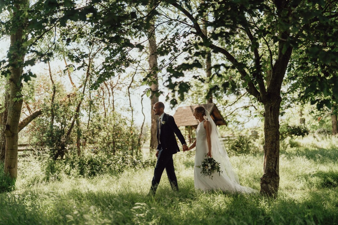 Summer in the orchard