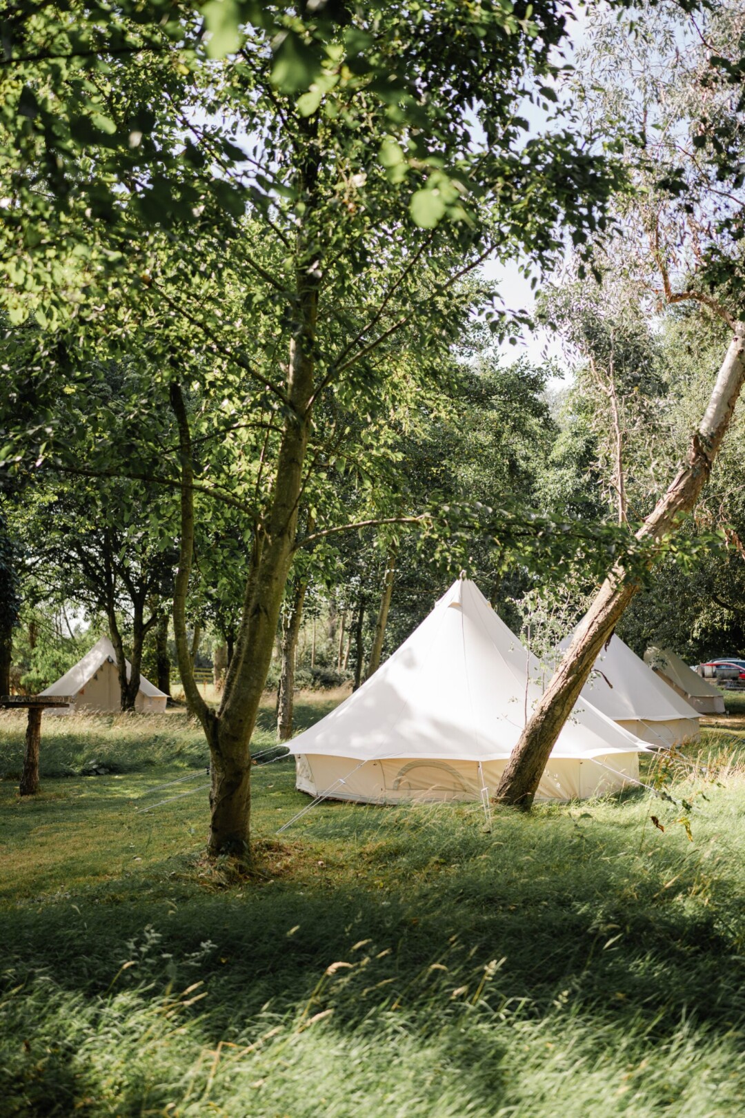 Overnight glamping in the orchard
