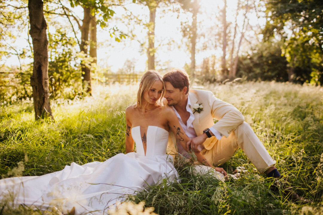 Golden Hour in The Orchard